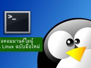 คู่มือคอมมานด์ไลน์บน Linux ฉบับมือใหม่