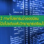 Computer source code programmer script developer.