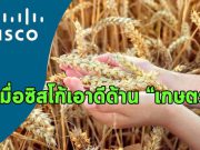 ซิสโก้มองไกล ! ลงทุนในบริษัท IoT ด้านเกษตรของออสเตรเลีย