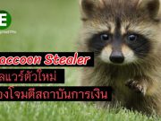 มัลแวร์ Raccoon Stealer ใช้ไฟล์ .IMG โจมตีสถาบันการเงิน