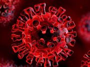 วงการมือถือเริ่มพัฒนาเทคโนโลยีติดตามตัว เพื่อสกัดการแพร่กระจาย COVID-19