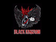 แรนซั่มแวร์ Black Kingdom แฮ็กเครือข่ายต่างๆ ผ่านช่องโหว่บน Pulse VPN