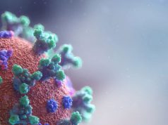 แฮ็กเกอร์ปล่อยข้อมูลวัคซีนโควิด-19 ของ Pfizer ที่ขโมยมาสู่โลกออนไลน์