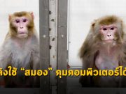 Neuralink ของ Elon Musk โชว์คลิปลิงใช้คอมพิวเตอร์ที่เชื่อมต่อสมองเล่นเกม