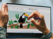 ภาพหลุดวินโดวส์ 11 ล่าสุด เผยโฉมใหม่เอี่ยมของ Microsoft Paint
