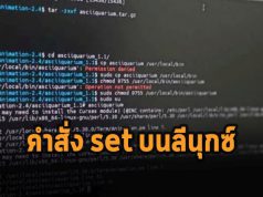 เรื่องน่ารู้ : การใช้คำสั่ง “set” บนลีนุกซ์