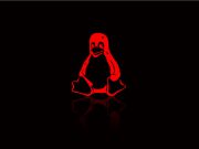 มัลแวร์บนลีนุกซ์เติบโตมากขึ้นถึง 35% ในช่วงปี 2021 ที่ผ่านมา