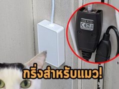 กริ่งประตูแมว ทำจาก Raspberry Pi ช่วยให้เราทราบแล้วมาเปิดประตูให้