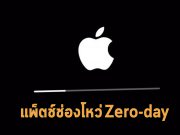 แอปเปิ้ลปล่อยแพ็ตช์อุดช่องโหว่ Zero-day สำหรับโอเอสทั้ง iOS และ iPadOS