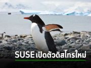 SUSE ประกาศเปิดตัวดิสโทรใหม่ที่ Fork มาจาก RHEL