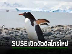 SUSE ประกาศเปิดตัวดิสโทรใหม่ที่ Fork มาจาก RHEL