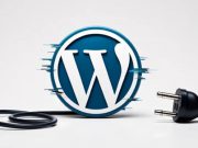 พบมัลแวร์แฝงในปลั๊กอินปลอม โจมตีเว็บไซต์ WordPress เสี่ยงข้อมูลรั่วไหล