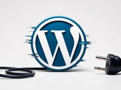 พบมัลแวร์แฝงในปลั๊กอินปลอม โจมตีเว็บไซต์ WordPress เสี่ยงข้อมูลรั่วไหล